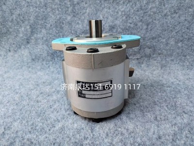 QC25/16-226B,轉向助力泵,濟南泉達汽配有限公司