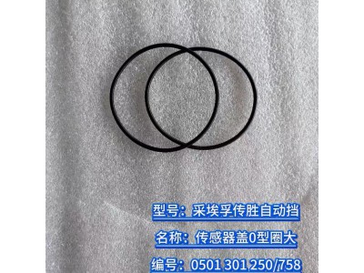 傳感器蓋O型圈大 0501 301 250