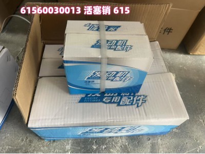 612600030051活塞環(huán) 歐二