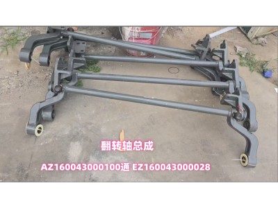 AZ160043000100通 EZ160043000028 翻轉(zhuǎn)軸