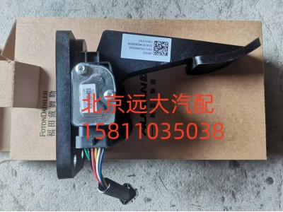 電子油門踏板總成FH0117030005A0