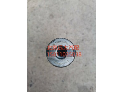 SH3001021-CP1001,轉(zhuǎn)向節(jié)主銷,北京遠(yuǎn)大汽車配件有限公司