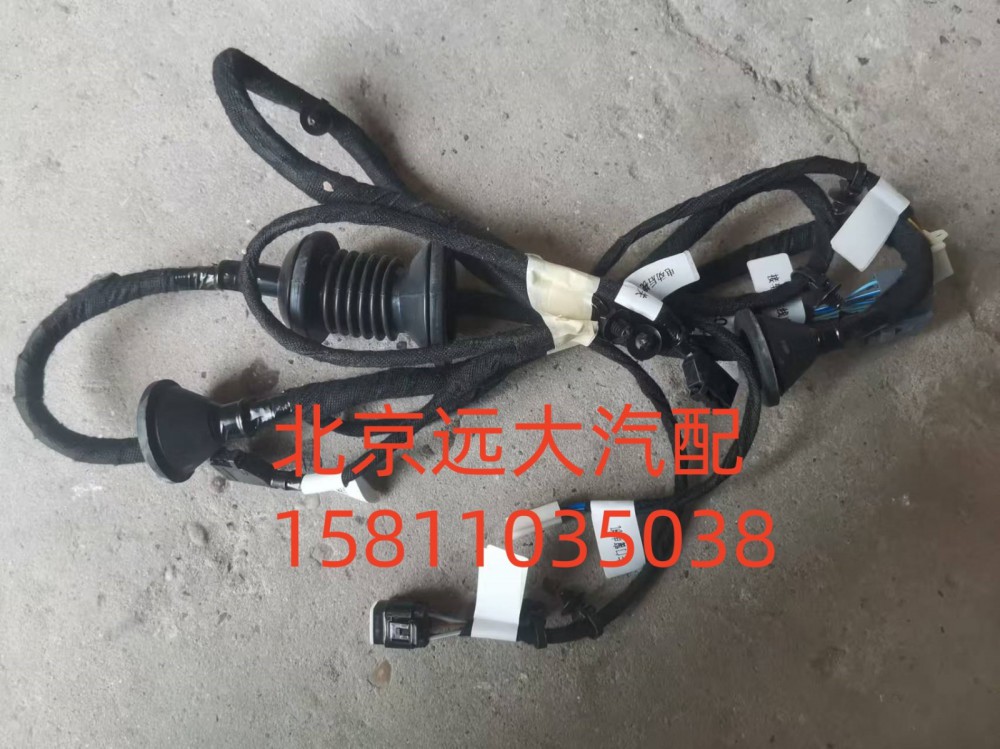 H0374060200A0,左車門線束總成,北京遠大汽車配件有限公司