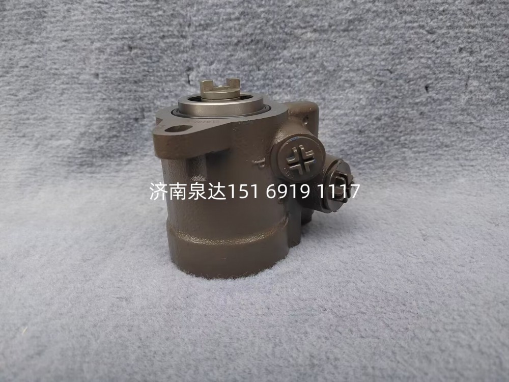 FG9806470954,轉(zhuǎn)向助力泵,濟(jì)南泉達(dá)汽配有限公司