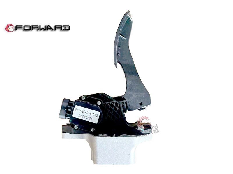 811W25970-6103 油門(mén)踏板總成,Throttle pedal assembly,濟(jì)南向前汽車(chē)配件有限公司