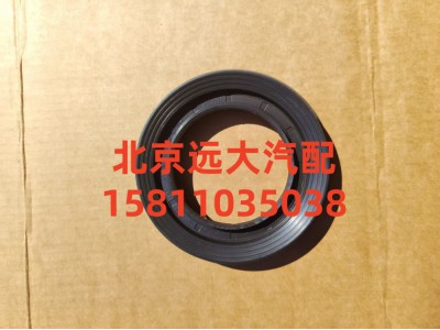 S2402055D1H,主從動(dòng)錐齒輪油封,北京遠(yuǎn)大汽車(chē)配件有限公司