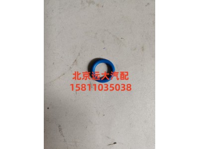 4989613,o形密封圈,北京遠(yuǎn)大汽車配件有限公司