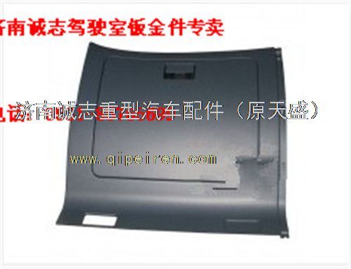 NZ1651160338,,濟(jì)南誠(chéng)志重型汽車駕駛室鈑金件專賣