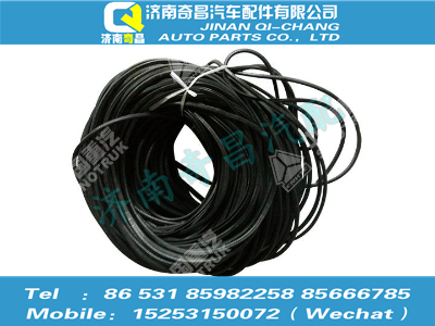 az1651110101,豪瀚配件 豪瀚保護條WG1651110101,濟南奇昌汽車配件有限公司