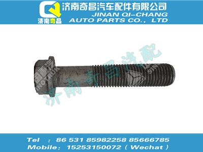 wg9725520114,金王子配件 金王子V型推力桿螺栓,濟(jì)南奇昌汽車配件有限公司