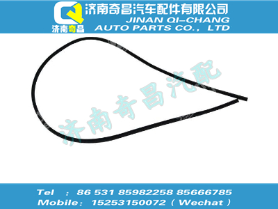 wg1662570025,T5G配件 T5G密封條,濟南奇昌汽車配件有限公司