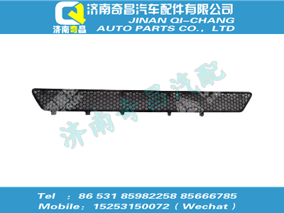wg1664240009,黃河配件 黃河保險杠裝飾網I,濟南奇昌汽車配件有限公司
