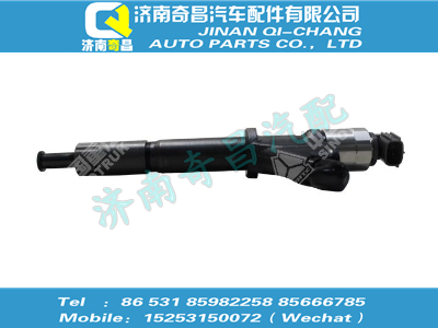 vg1246080106,T5G配件 T5G噴油器總成,濟(jì)南奇昌汽車配件有限公司