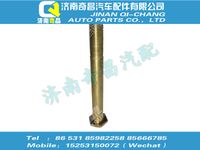 wg9925930032,汕德卡配件 汕德卡薄頭螺栓,濟南奇昌汽車配件有限公司