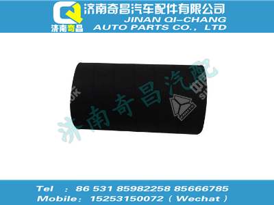 vg1238110039,王牌配件 王牌膠管,濟(jì)南奇昌汽車配件有限公司