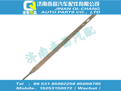 az9725550010,T5G配件 T5GD型油箱拉帶總成,濟南奇昌汽車配件有限公司