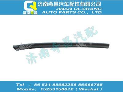wg1664777612,王牌配件 王牌雜物箱右裝飾條,濟(jì)南奇昌汽車配件有限公司