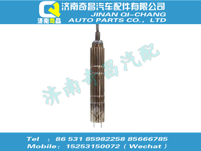 wg2203040060,王牌配件 王牌主軸帶球頭總成,濟(jì)南奇昌汽車(chē)配件有限公司