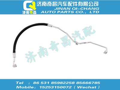 wg1642820046,SITRAK配件冷-儲(chǔ)軟管總成(匯眾達(dá)、D12),濟(jì)南奇昌汽車配件有限公司