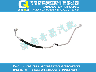 wg1608821054,金王子配件 金王子壓冷管總成,濟(jì)南奇昌汽車配件有限公司
