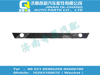 wg1664243009,T5G配件 T5GSITRAK保險杠裝飾網(wǎng)I,濟(jì)南奇昌汽車配件有限公司