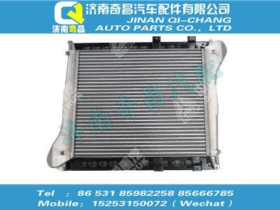 wg9725530260,金王子配件 金王子HOWO小冷卻模塊總成,濟南奇昌汽車配件有限公司