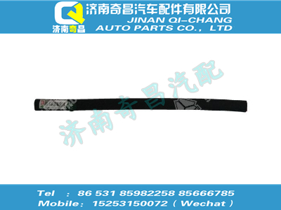 wg1662610067,金王子配件 金王子外車門密封條短I,濟南奇昌汽車配件有限公司