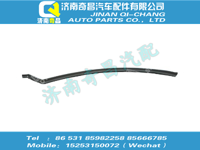 wg1664770003,金王子配件 金王子雜物箱左裝飾條,濟(jì)南奇昌汽車配件有限公司