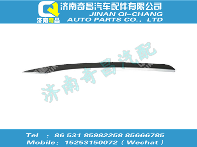 wg1664330145,汕德卡配件 汕德卡裝飾條總成－右車門,濟(jì)南奇昌汽車配件有限公司