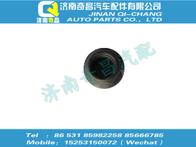 wg9725525115,T7H配件 T7H法蘭螺母（M20x1.5，10級(jí)，瀚瑞森）,濟(jì)南奇昌汽車配件有限公司