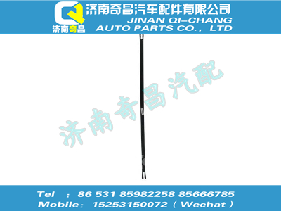 wg9100190026,SITRAK配件緊固帶總成,濟南奇昌汽車配件有限公司