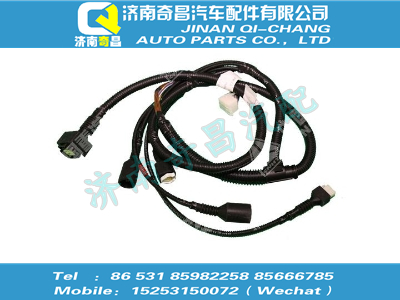 az9325779301,王牌配件 王牌前圍線(xiàn)束(HOKA/國(guó)Ⅲ),濟(jì)南奇昌汽車(chē)配件有限公司