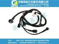 az9325779301,王牌配件 王牌前圍線(xiàn)束(HOKA/國(guó)Ⅲ),濟(jì)南奇昌汽車(chē)配件有限公司