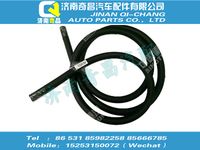 wg9325531309,王牌配件 王牌膨脹水箱補水膠管,濟南奇昌汽車配件有限公司