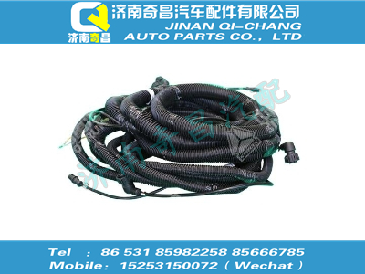 wg9918776020,汕德卡配件 汕德卡ABS底盤線束（6×4/4100）,濟南奇昌汽車配件有限公司
