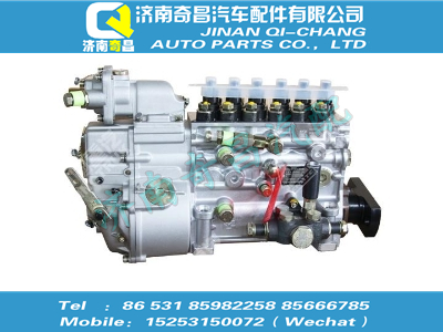 vg1095080190,汕德卡配件 汕德卡噴油泵總成,濟(jì)南奇昌汽車配件有限公司