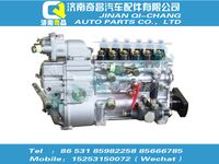 vg1095080190,汕德卡配件 汕德卡噴油泵總成,濟(jì)南奇昌汽車配件有限公司