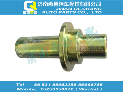 wg1664440031,王牌配件 王牌襯套,濟(jì)南奇昌汽車配件有限公司