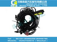 vg1238090102,王牌配件 王牌發(fā)動機(jī)線束（T12，4GECU，雙高壓減壓器）,濟(jì)南奇昌汽車配件有限公司