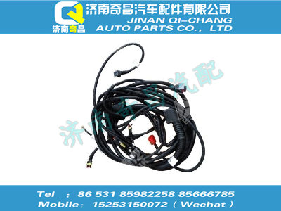 wg1034126110,T7H配件 T7HC5B 車輛線束,濟南奇昌汽車配件有限公司