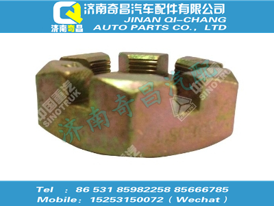 eq153-3001030,HOWO配件 HOWO轉(zhuǎn)向節(jié)螺母,濟(jì)南奇昌汽車(chē)配件有限公司