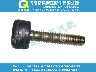 az9123360067,王牌配件 王牌堵頭（2819602003691）,濟(jì)南奇昌汽車配件有限公司