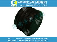 az1631930005,王牌配件 王牌堵塞/81960020062,濟(jì)南奇昌汽車(chē)配件有限公司