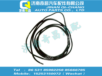 wg1608710010,SITRAK配件嵌條/04398359018,濟(jì)南奇昌汽車配件有限公司