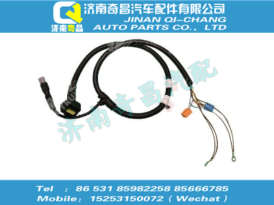 752-25429-6602,王牌配件 王牌T5G右前圍線束,濟(jì)南奇昌汽車(chē)配件有限公司