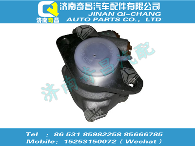 az9516470051,金王子配件 金王子轉(zhuǎn)向葉片泵（MC07、8*4、752W47101-6150）,濟(jì)南奇昌汽車配件有限公司