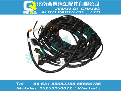 wg1034121051,SITRAK配件SCR線束總成（不帶電加熱）,濟南奇昌汽車配件有限公司