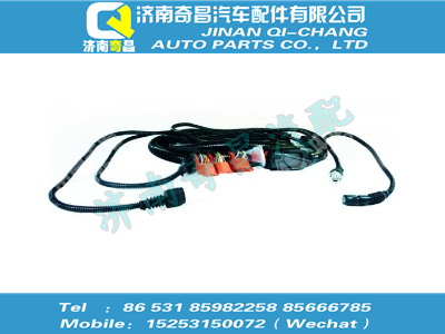vg1034090011,SITRAK配件發(fā)動機線束線束,濟南奇昌汽車配件有限公司