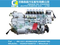 vg1096080130,C7B配件 C7B噴油泵總成,濟(jì)南奇昌汽車配件有限公司