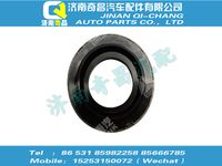 az9725529215,T7H配件 T7H外密封圈,濟南奇昌汽車配件有限公司